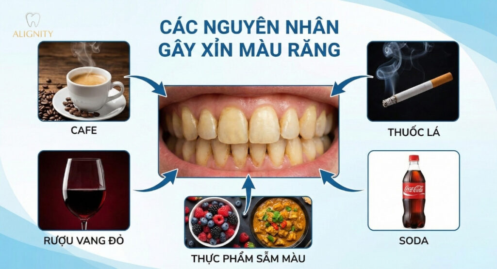 Tẩy trắng răng: có nên không? Phương pháp và chi phí năm 2026 2 Các nguyên nhân phổ biến khiến răng bị ố vàng và xỉn màu theo thời gian