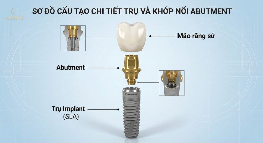 Trụ Implant Straumann Thụy Sĩ: giải pháp phục hình răng toàn diện 2 Cấu tạo đặc biệt của trụ Implant Straumann